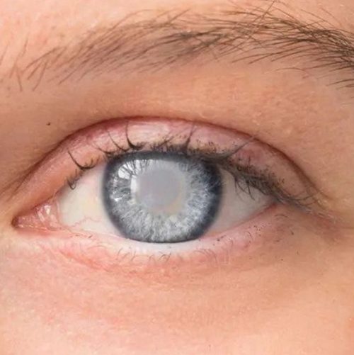 6080f92b-6d57-402d-b850-a3eb2b8cefd9