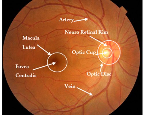 diagnostics-13-02180-g001-550